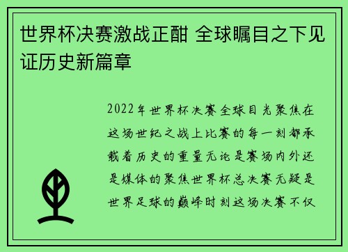 世界杯决赛激战正酣 全球瞩目之下见证历史新篇章